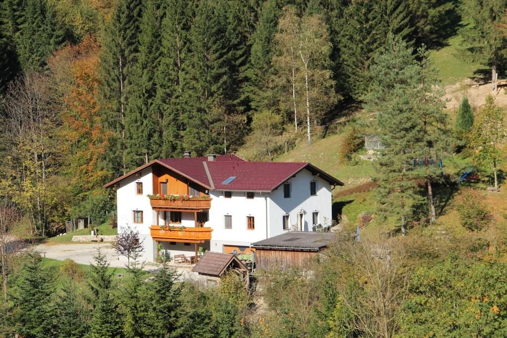 Dům