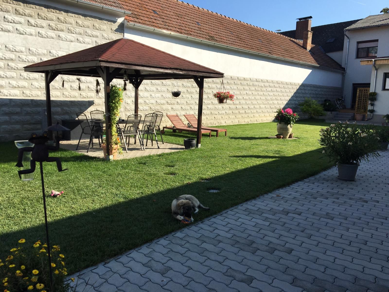Útulný trávník na opalování
