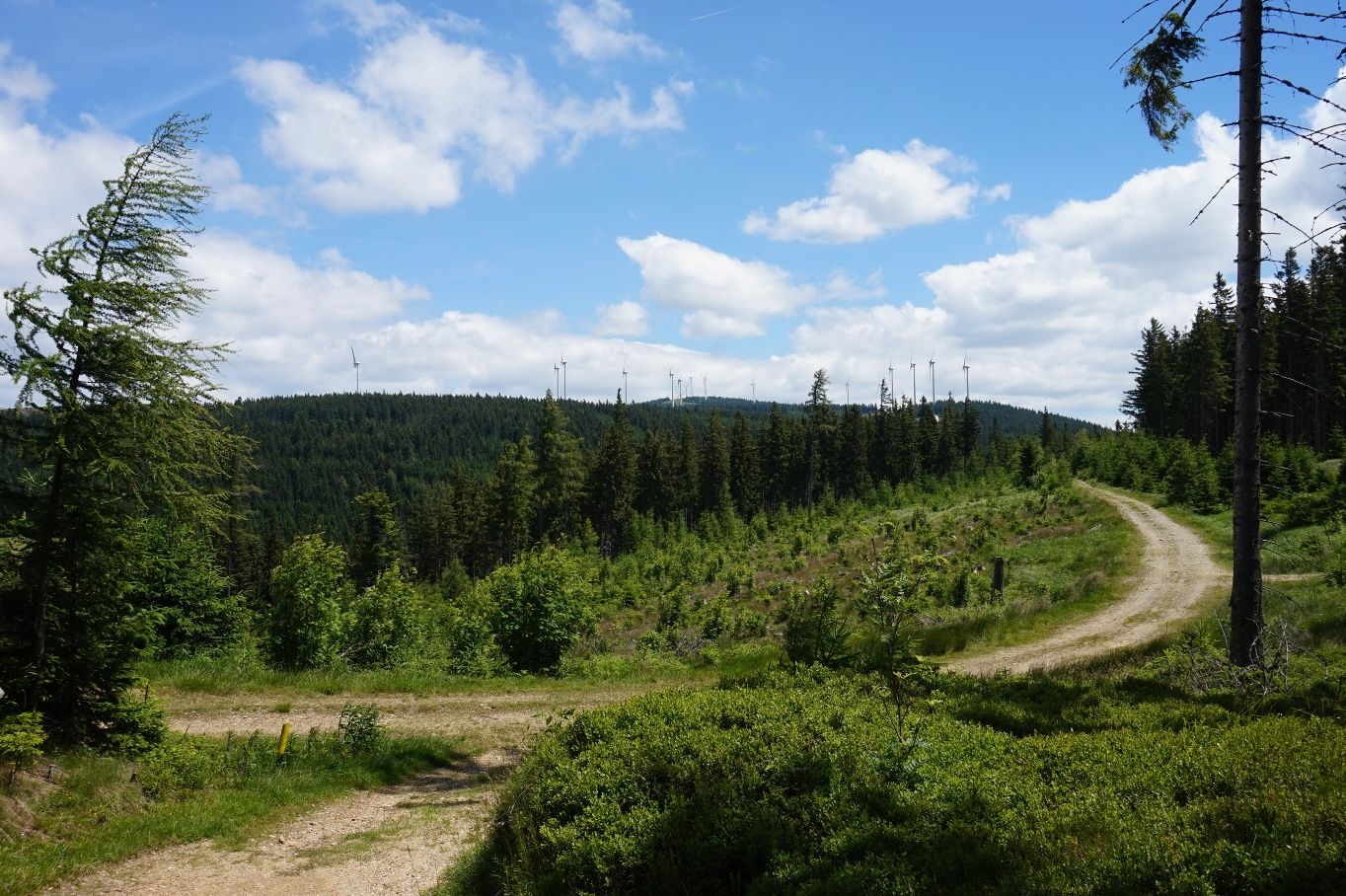 alpannonia - Regionální trasa Krysy