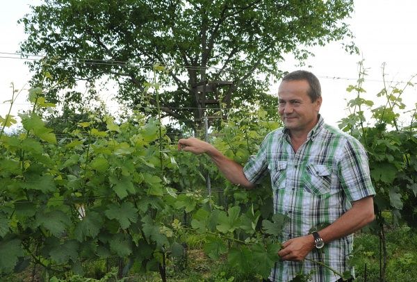 Vinařství Leopold Blauensteiner