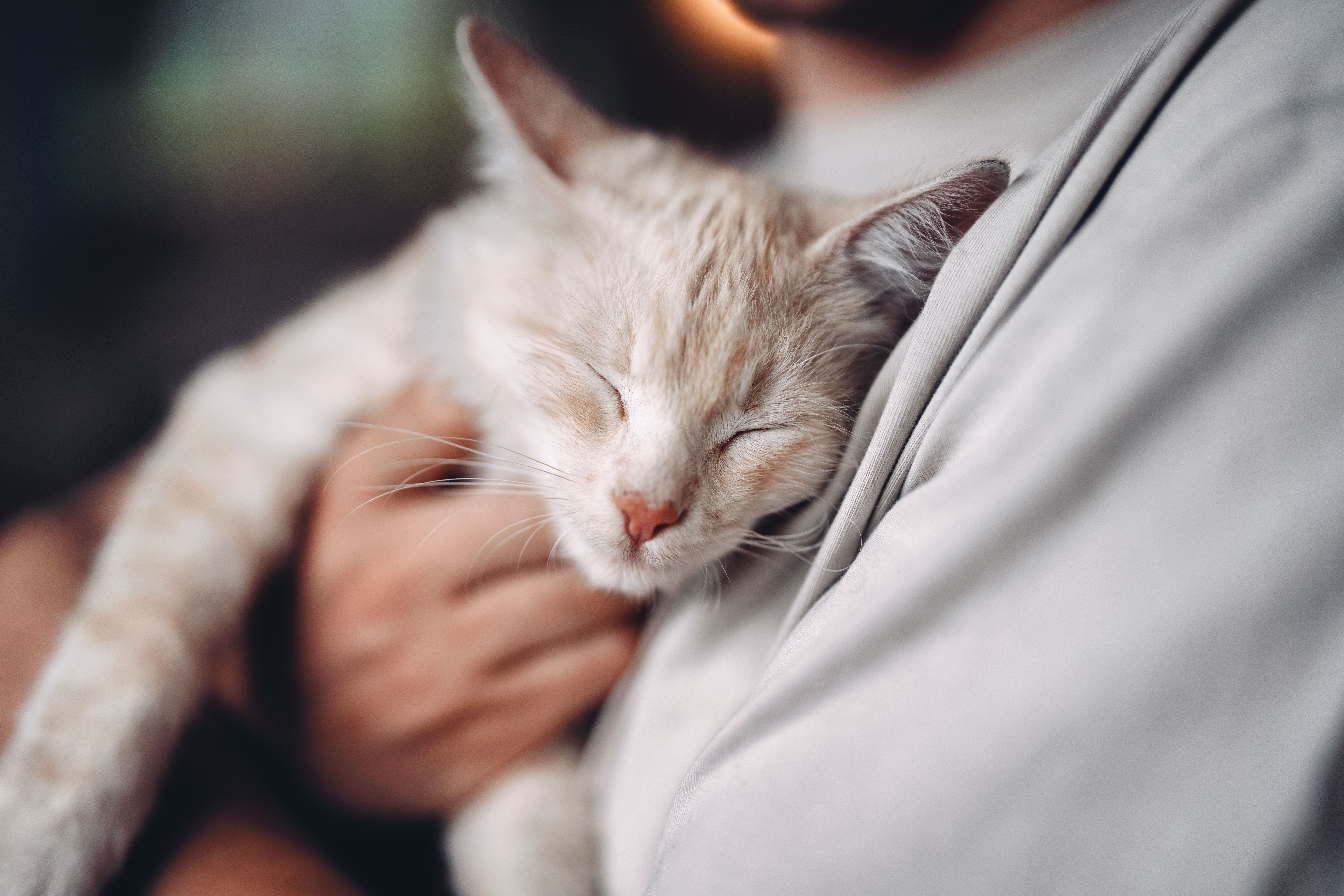 Moštové pohostinství Resch na Hörlesbergu