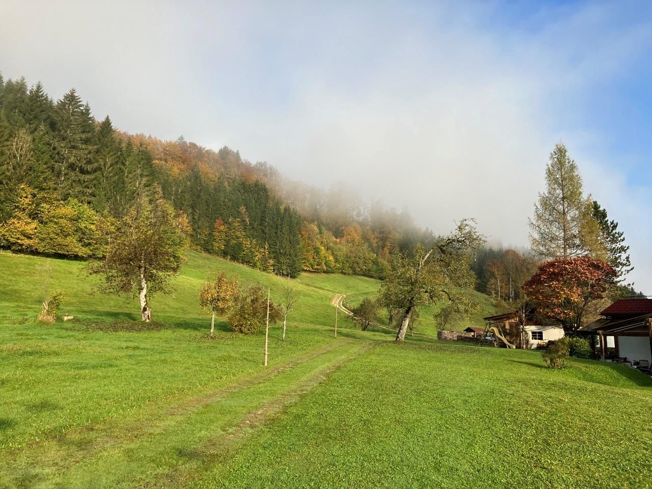 prostorná-zahrada-před-domem-na-dovolenou