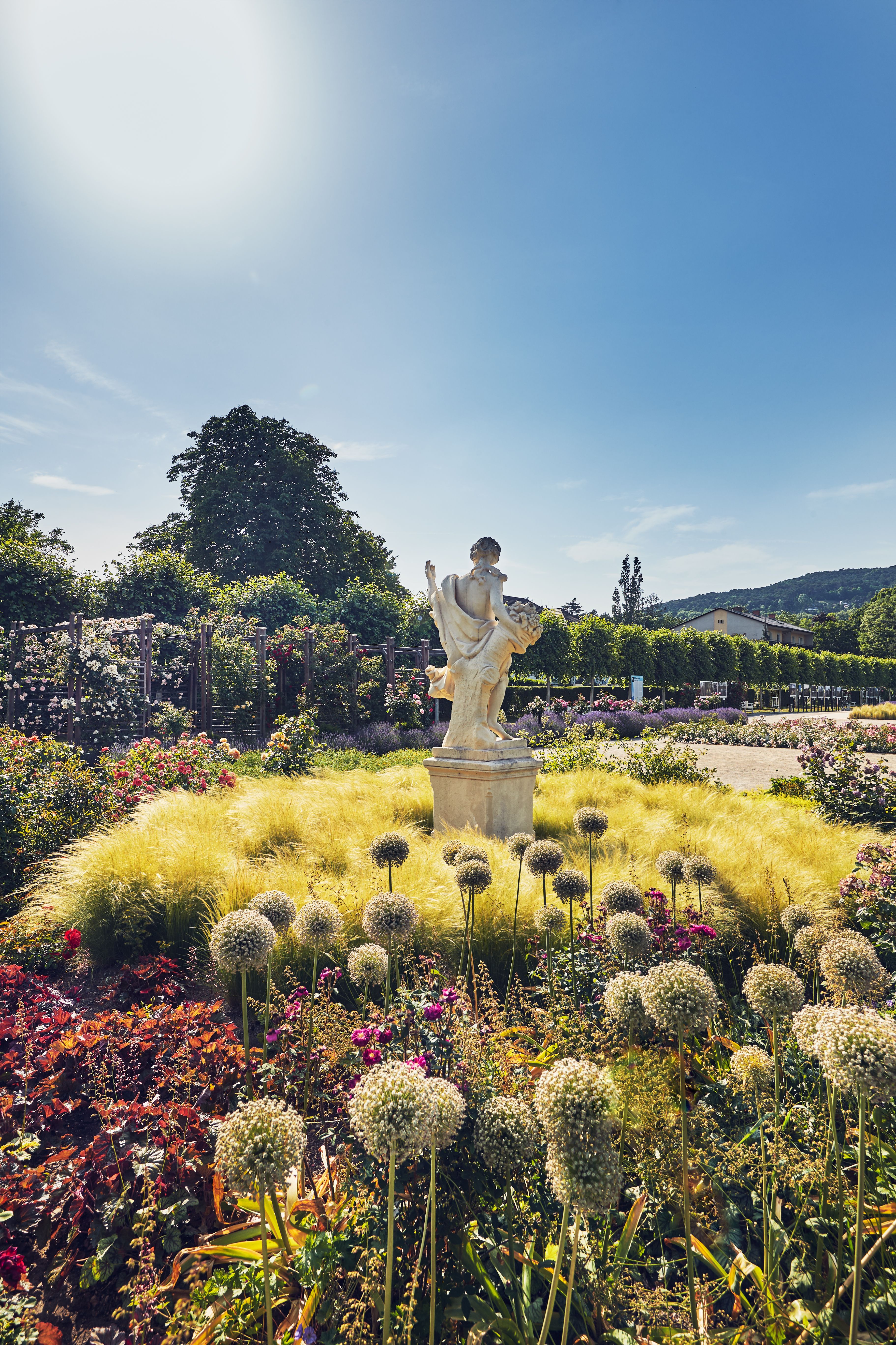 Ilustrační obrázek