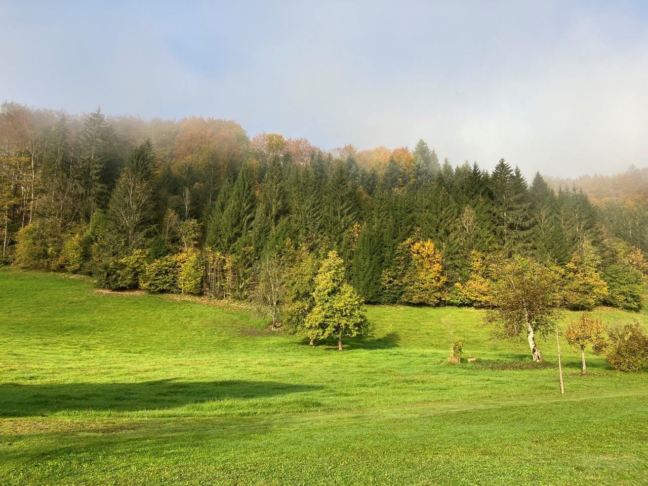 prostorná-zahrada-před-domem-na-dovolenou