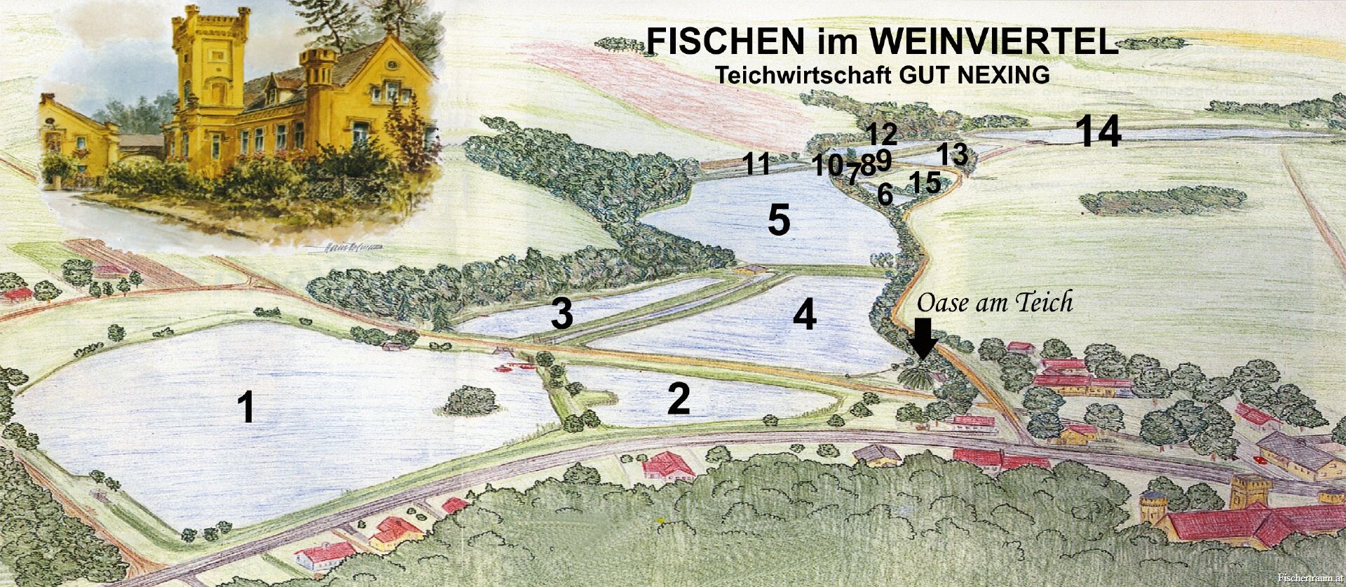 Ilustrace plánu rybníka s očíslovanými plochami a budovou ve Weinviertelu.