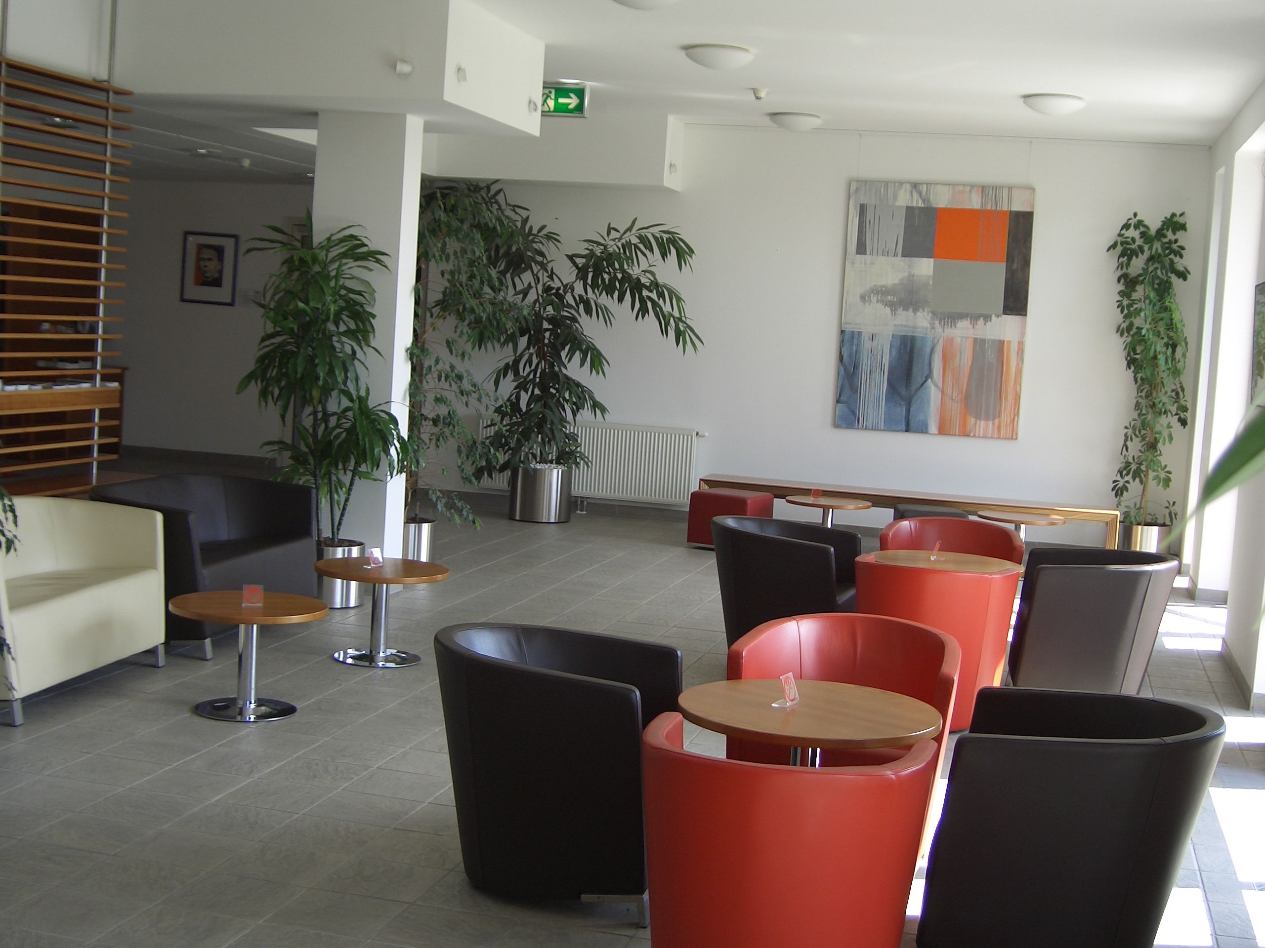 Moderní obývací pokoj s barevnými křesly a rostlinami.