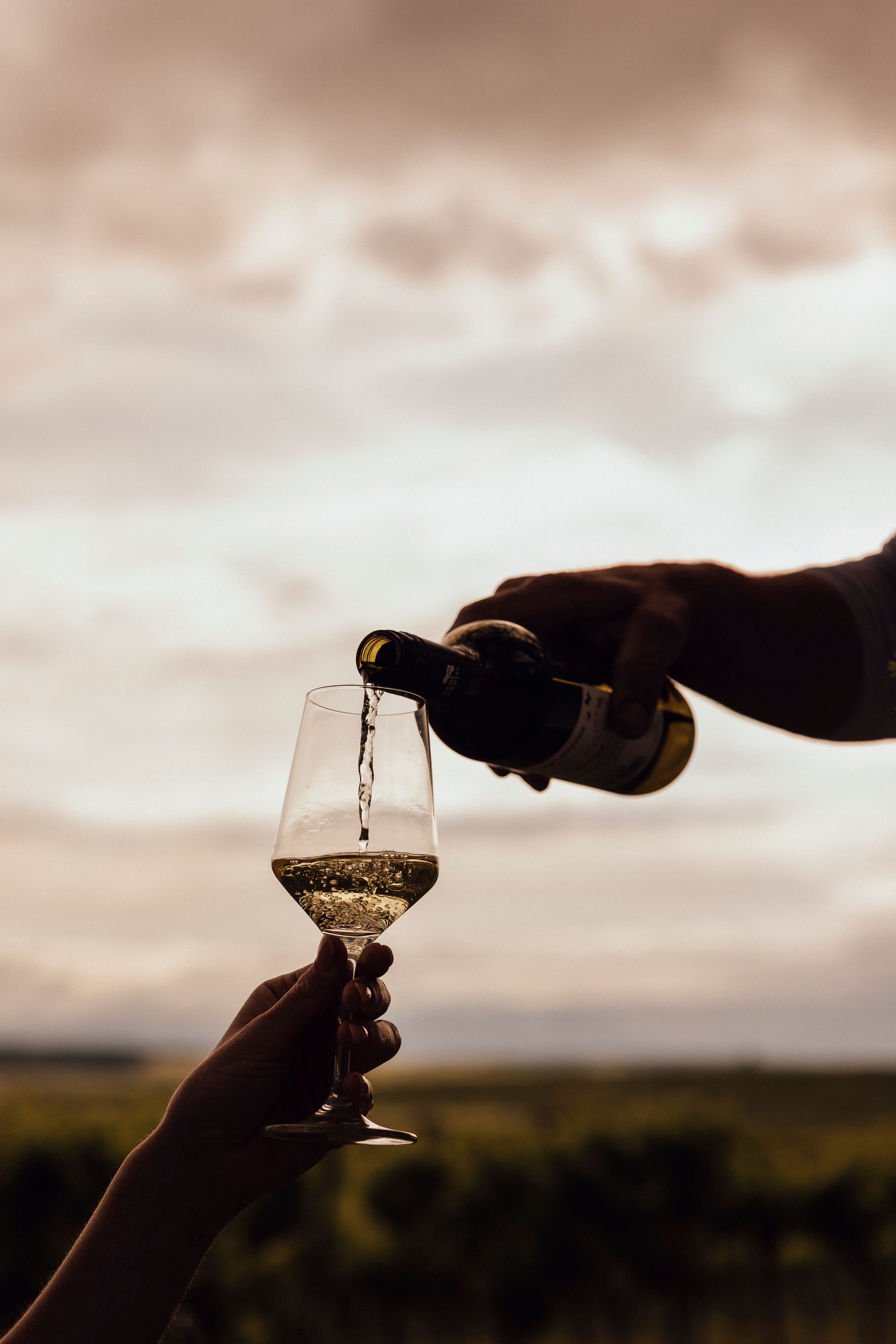 Víno se nalévá do sklenice venku s krajinou v pozadí.