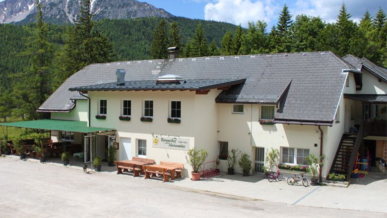 Horský hostinec Mamauwiese před zalesněnými horami.
