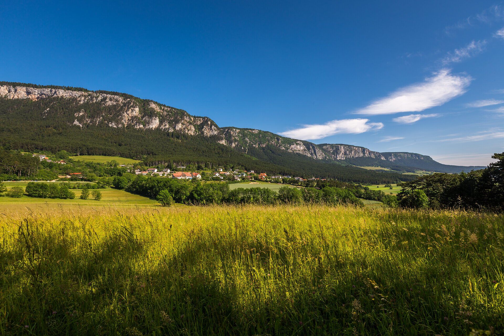 Imposanter Blick auf die Hohe Wand von Kienberg Zweiersdorf mit blühenden Feldern im Vordergrund