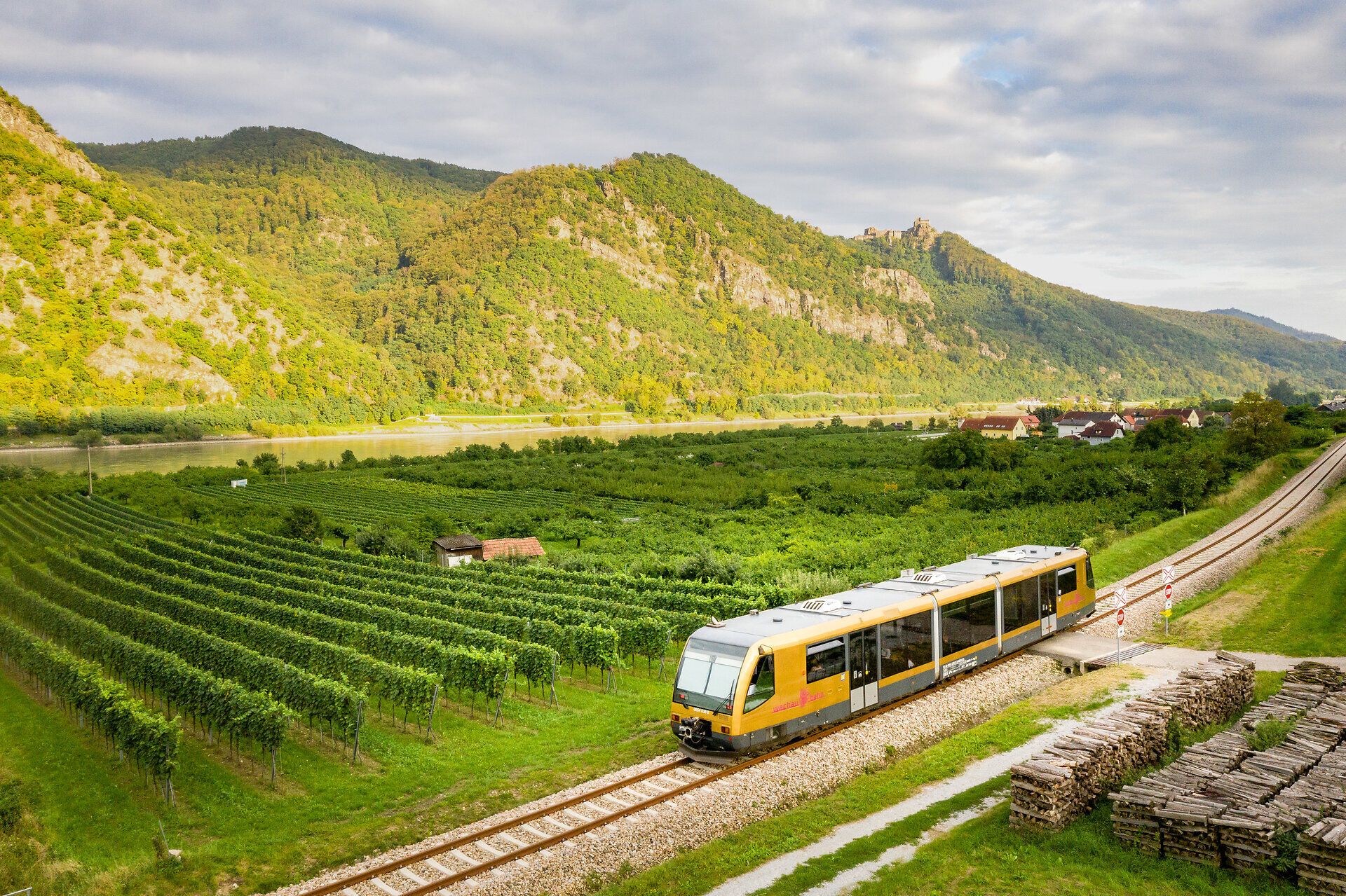 Die sanften Hügel, bedeckt mit üppigen Weinreben, laden zu einem entspannenden Ausblick ein. Ein Zug gleitet gemächlich entlang der Gleise, während die Natur in voller Pracht erblüht und die ruhige Atmosphäre des Sommers in den Bergen spürbar ist.