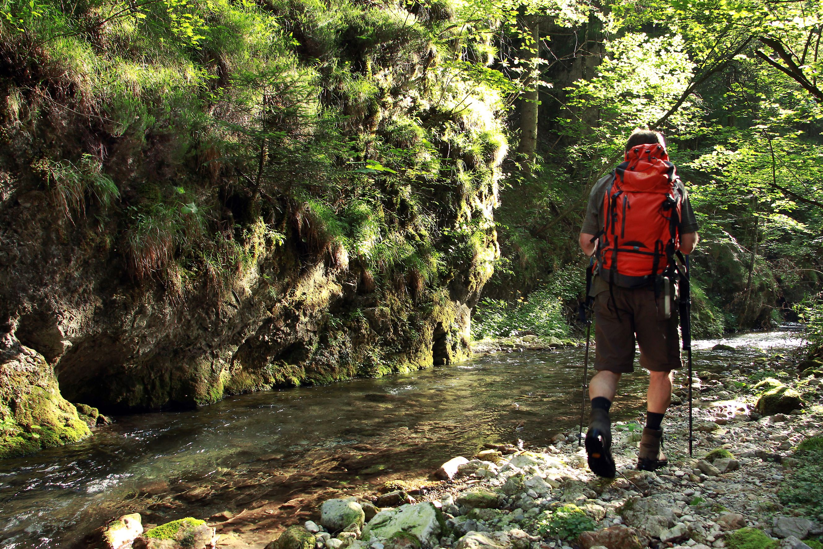Turista s červeným batohem v zelené rokli u potoka.