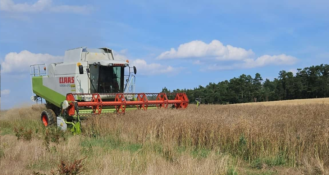 Kombajn Claas pracuje na poli pod modrou oblohou.