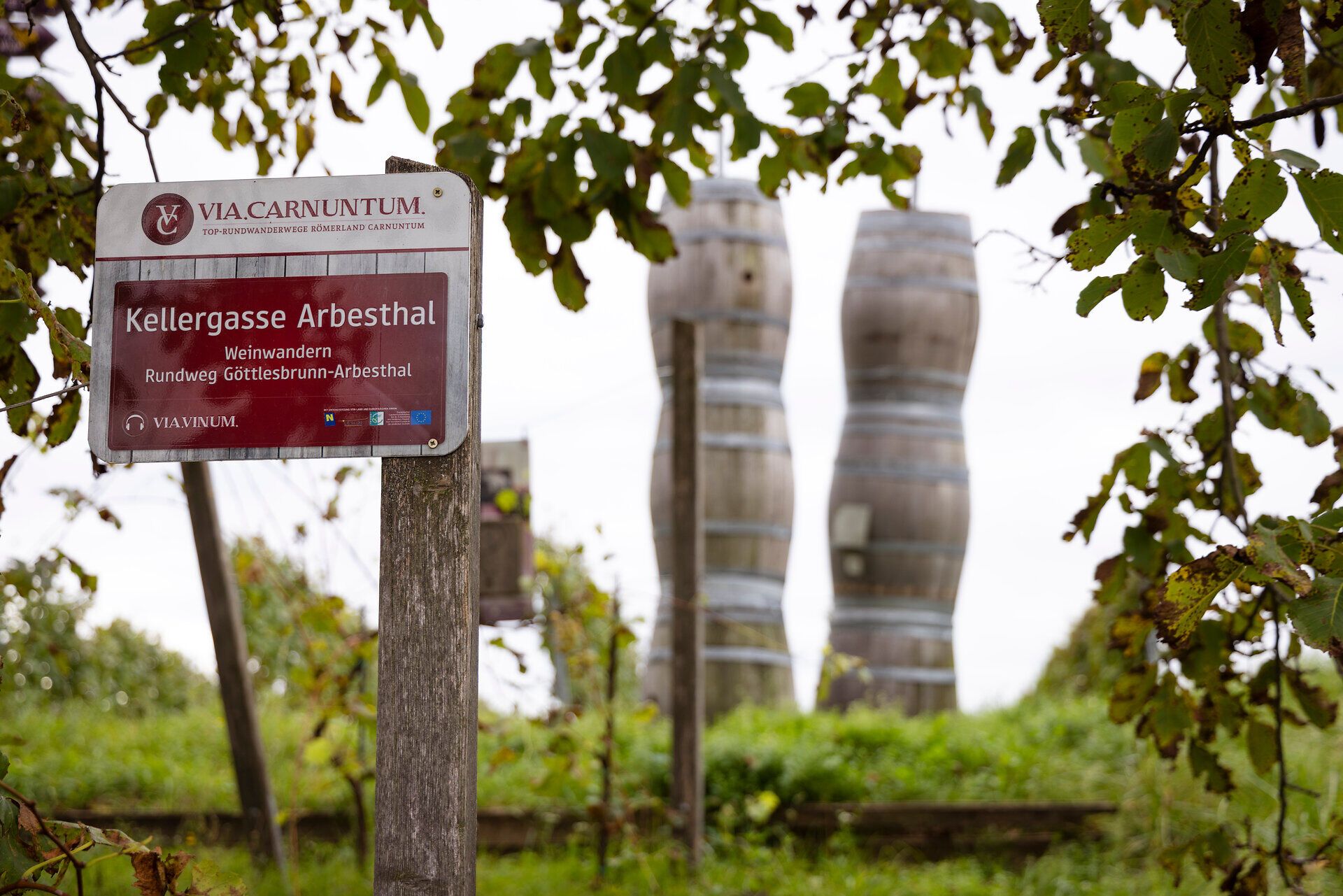Zelená vinice a turistická značka s nápisem "sklepní uličky Arbesthal". 