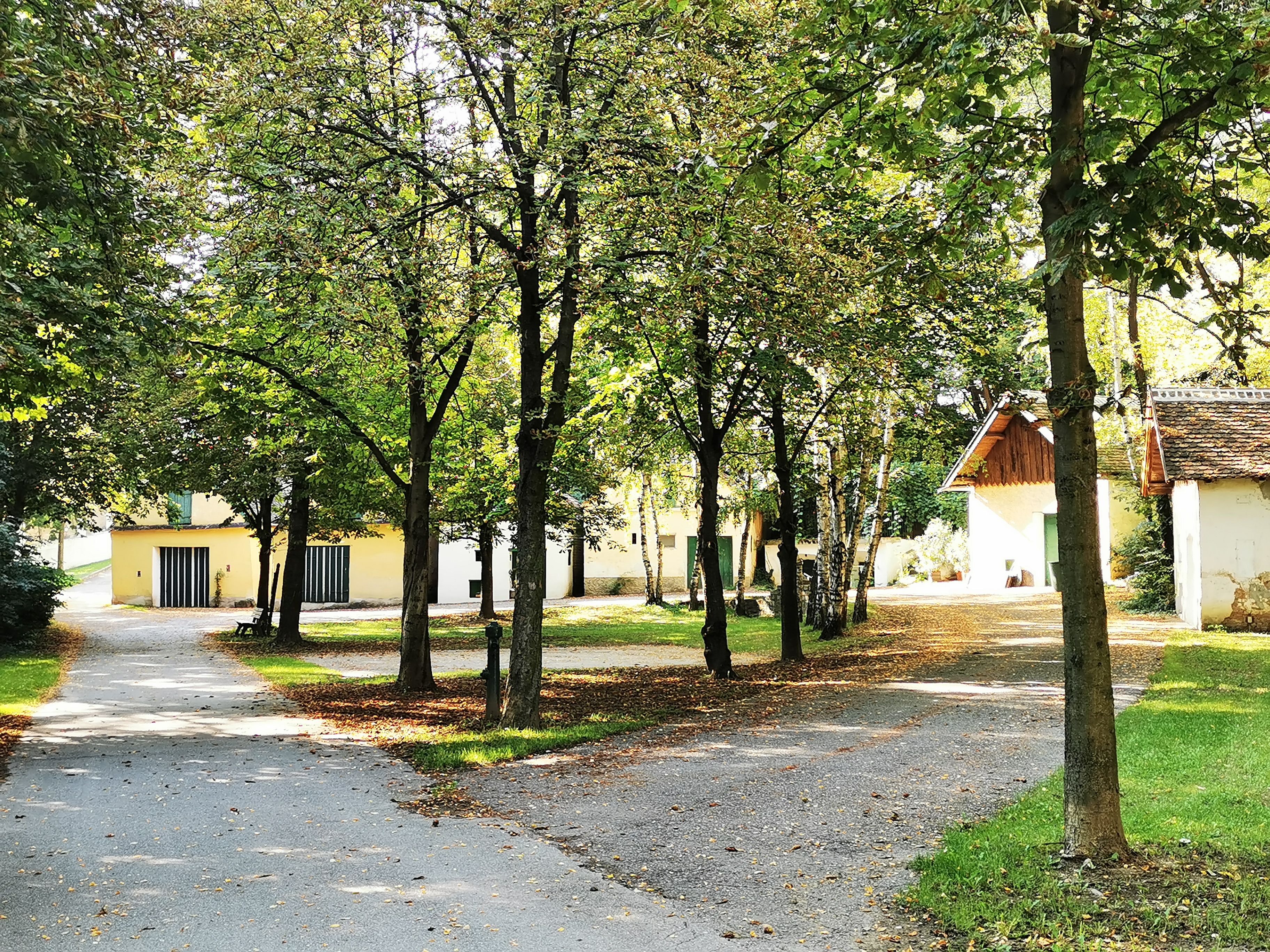 Klidný park se stromy a malými budovami v pozadí.