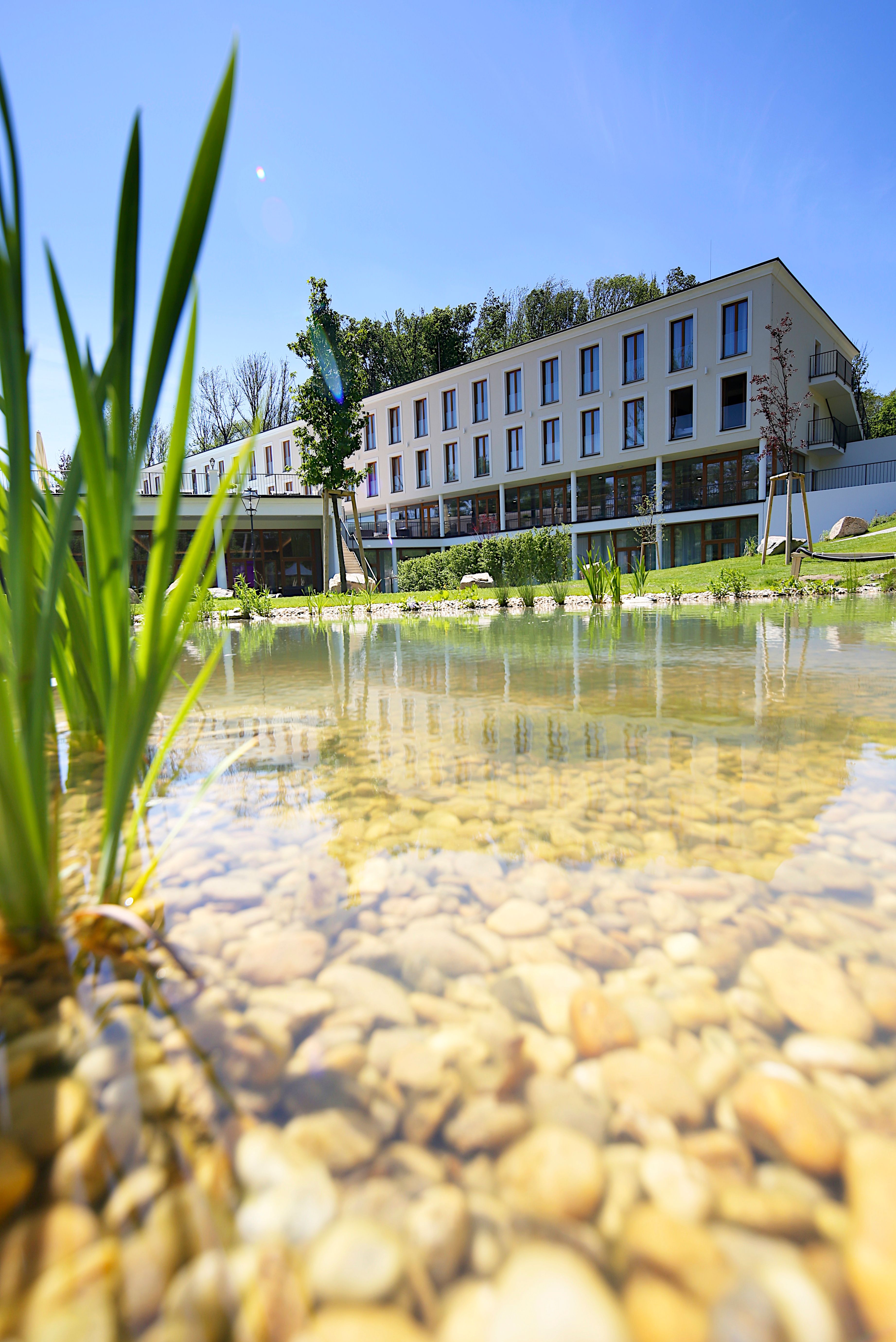 Ilustrační obrázek