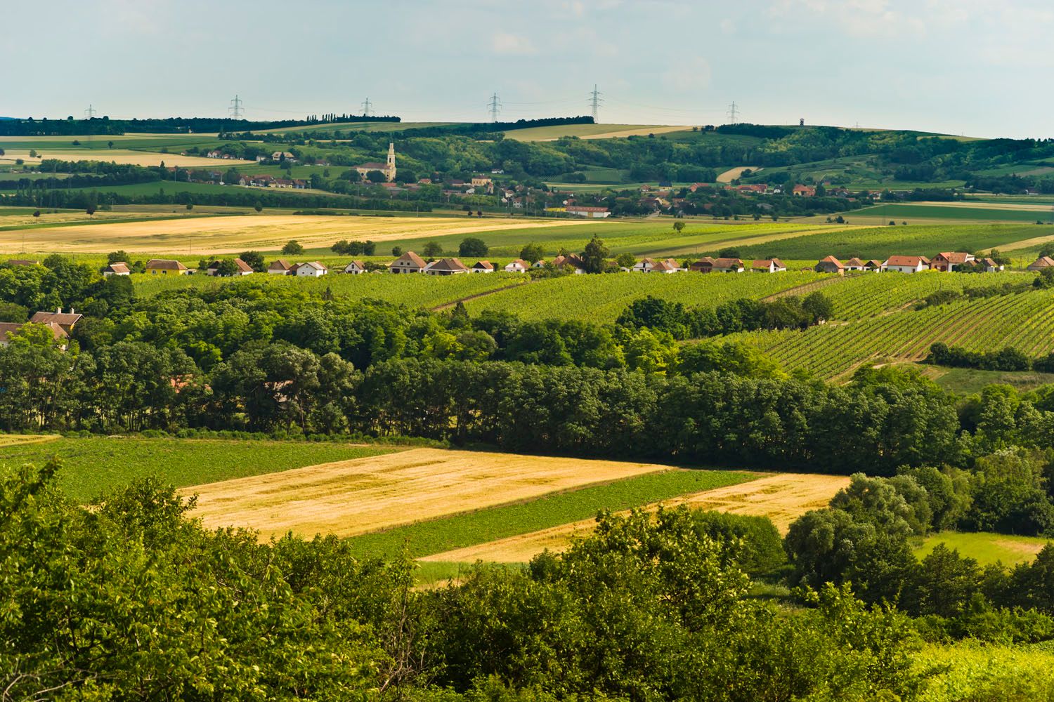 Krajina s poli, stromy a vesnicí v pozadí.