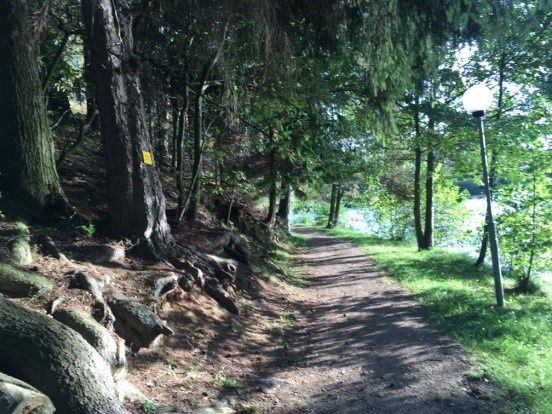 Turistická stezka č. 31, příroda a kultura