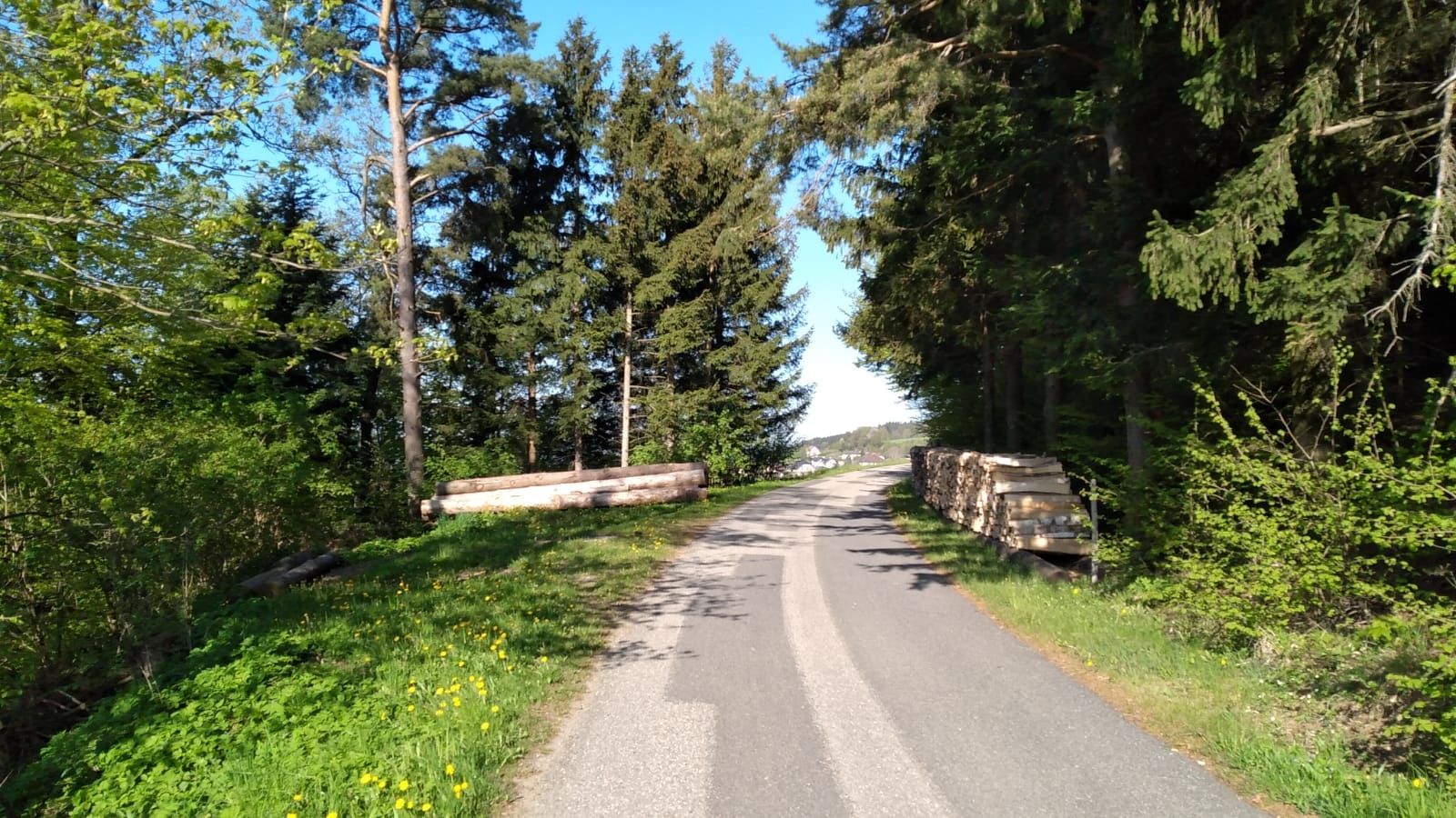 Křížová cesta