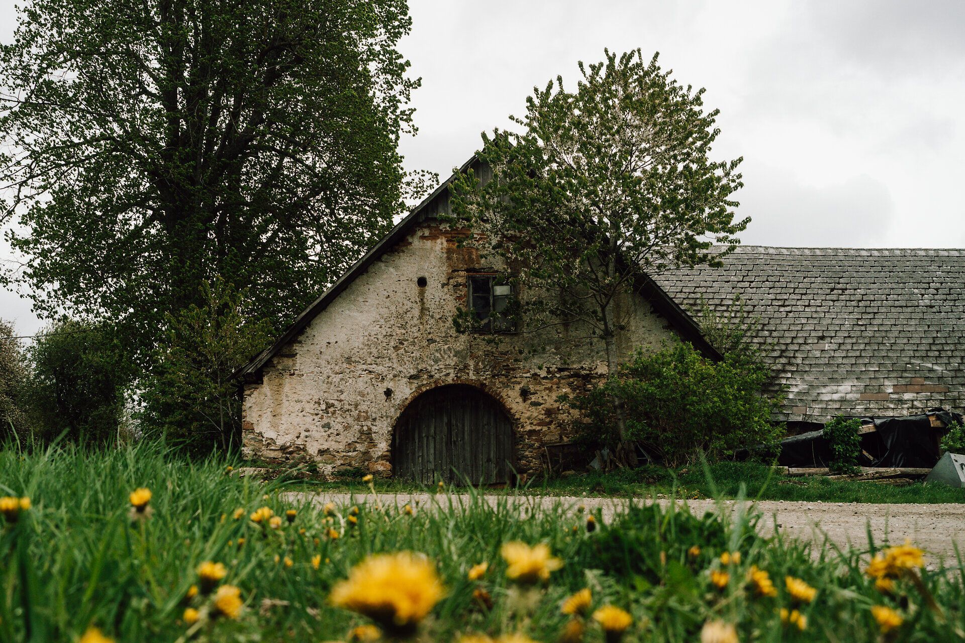 Starý statek obklopený svěží zelení a kvetoucími pampeliškovými loukami vyzařuje příjemný klid. Zvlněné kopce v pozadí vybízejí turisty k objevování krás přírody a užívání si čerstvého vzduchu.