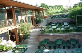 Venkovní prostor restaurace se zelenými dřevěnými stoly a lavicemi, obklopený vinicemi.