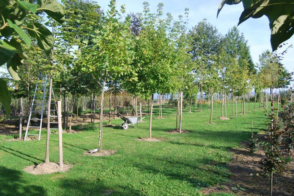 Huber Garden Design & Nursery
