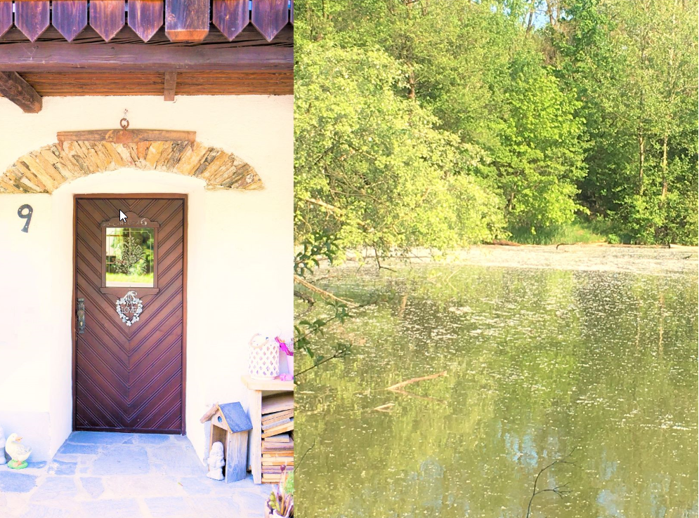 Přední dveře chaty č. 9 u rybníka se stromy.