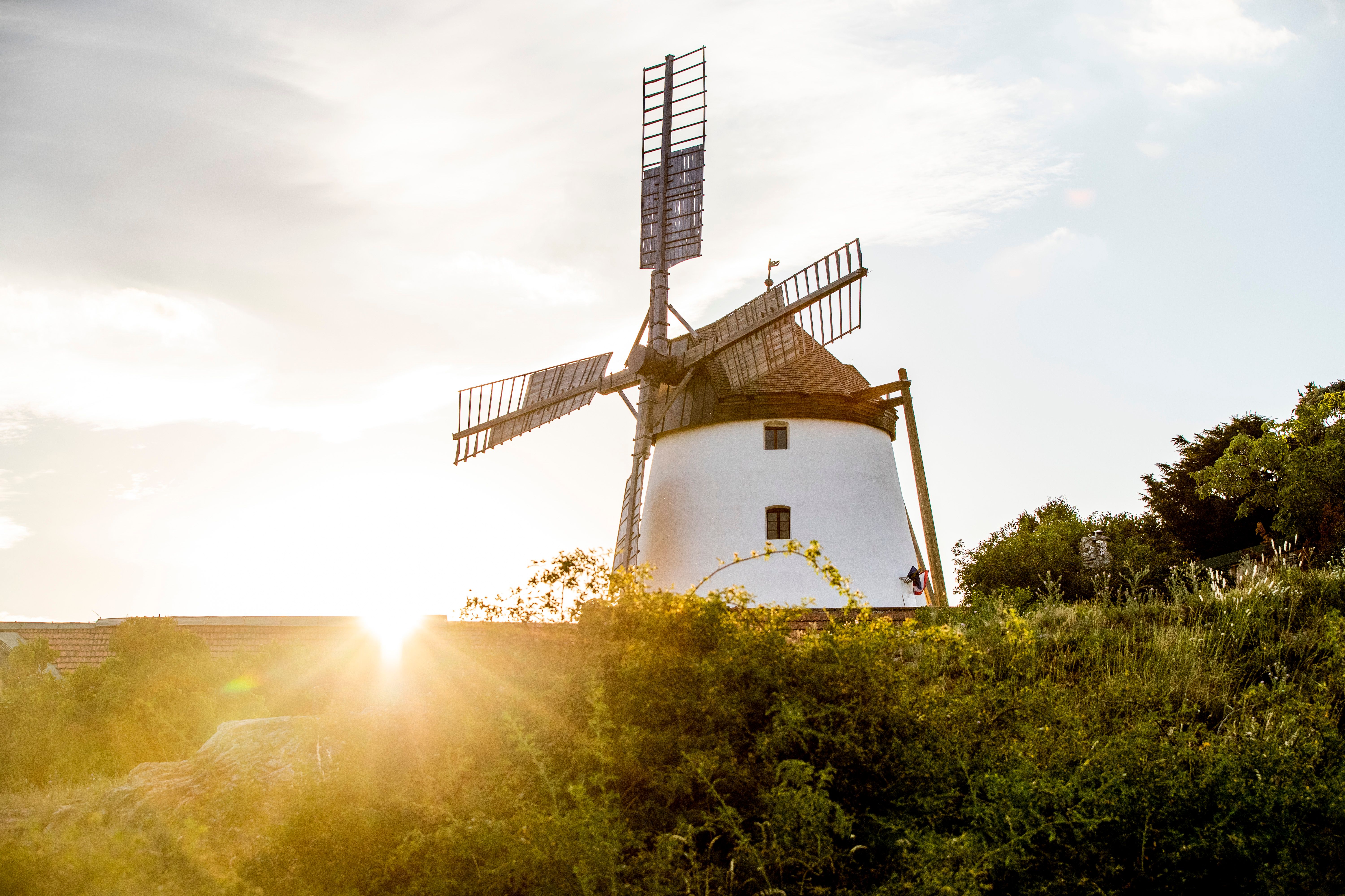 Die majestätische Windmühle thront sanft im Licht der untergehenden Sonne und verleiht der Landschaft einen Hauch von Nostalgie. Umgeben von üppigem Grün und blühenden Pflanzen, lädt dieser Ort dazu ein, die Ruhe und Schönheit der Natur zu genießen.