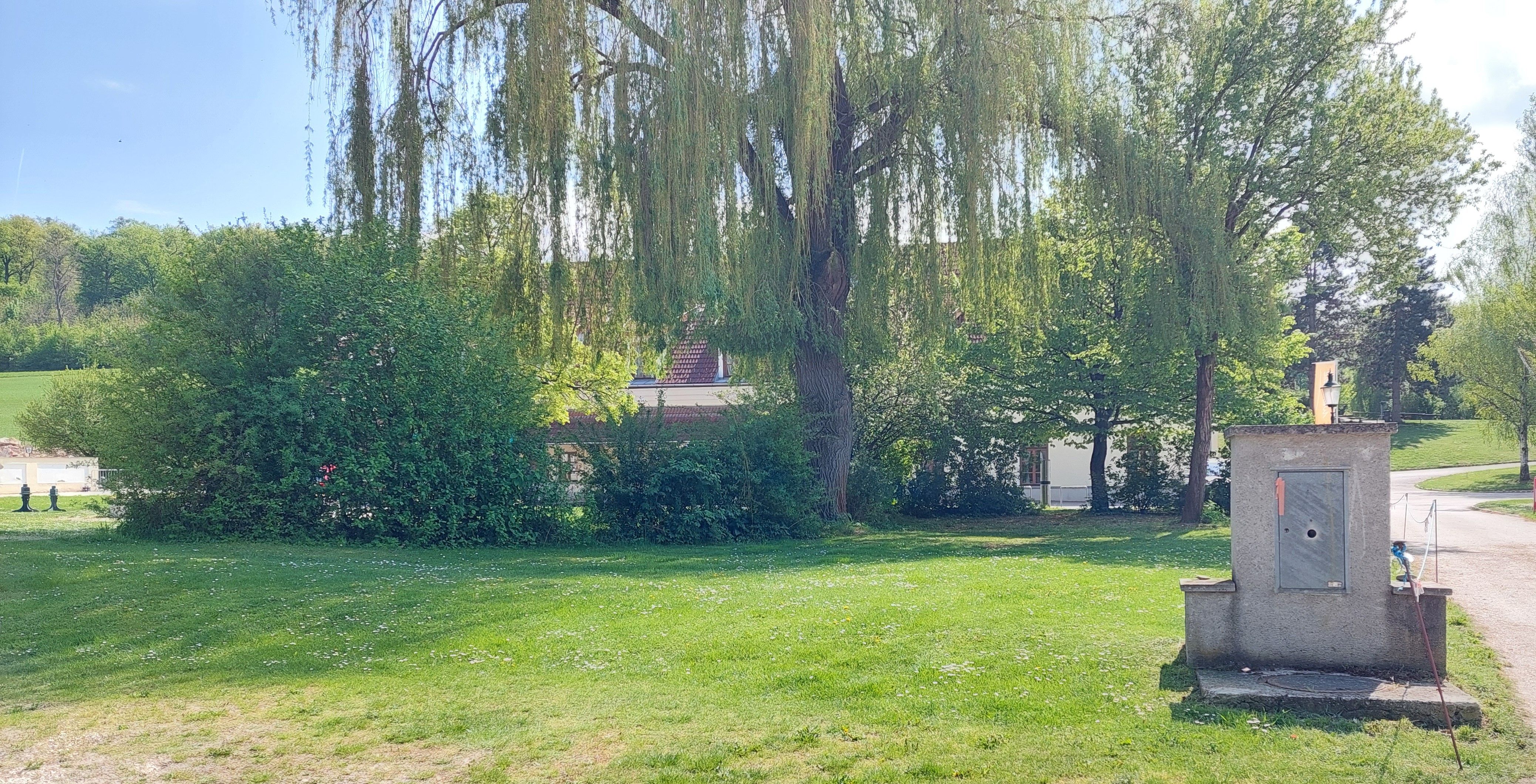 Zelená louka se stromy a malou budovou v pozadí.