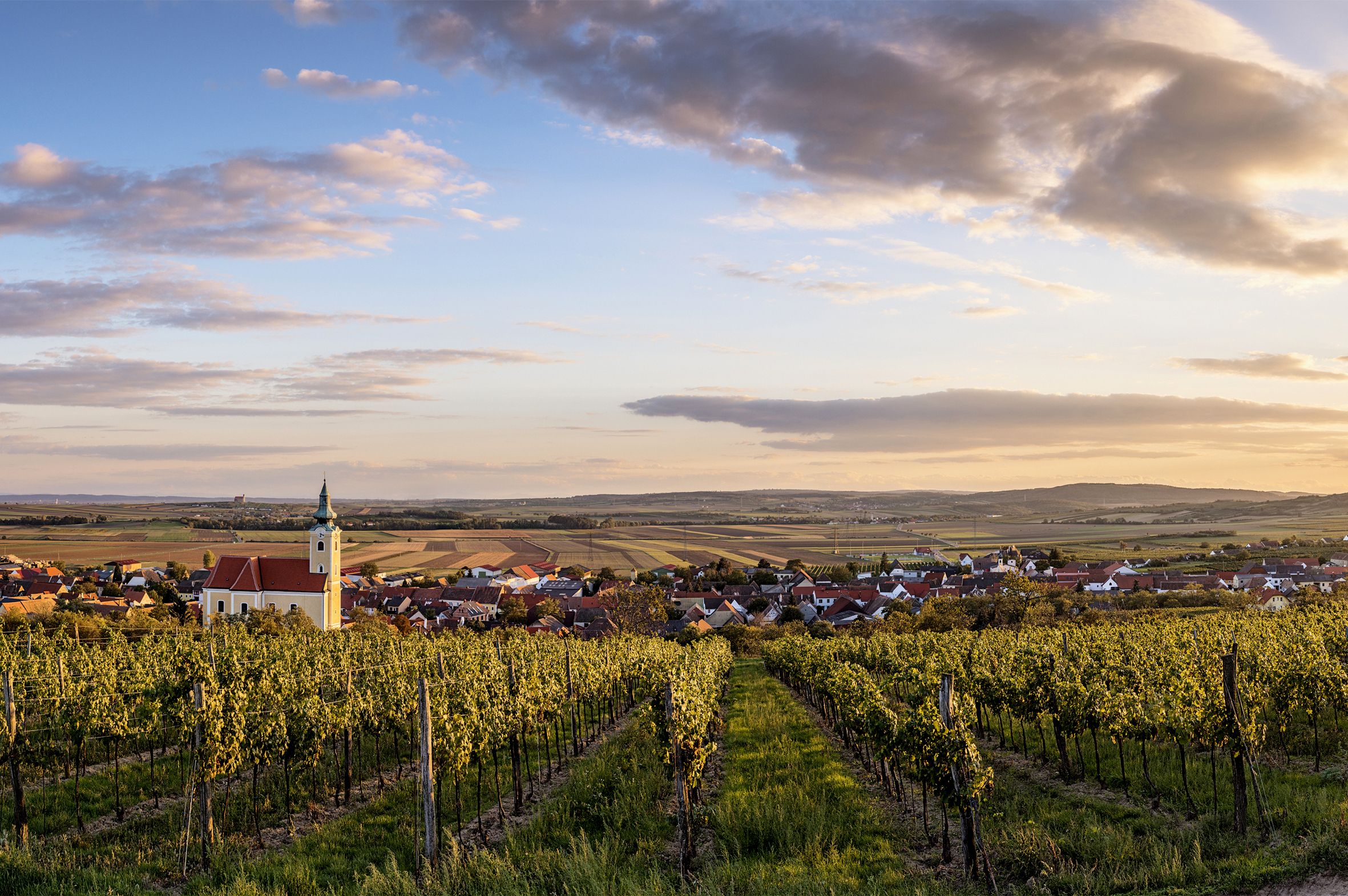 Pohled na Röschitz s kostelem a vinicemi v popředí při západu slunce.