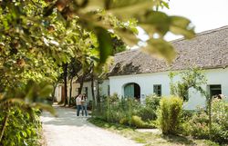 Inmitten der malerischen Landschaft des Weinviertels strahlt das charmante Dorf mit seinen traditionellen Gebäuden eine einladende Atmosphäre aus. Die sanften Hügel und üppigen Obstbäume umrahmen den Hof, während Besucher die Ruhe und Schönheit der Umgebung genießen. Ein perfekter Ort, um in die ländliche Kultur einzutauchen und die Seele baumeln zu lassen.