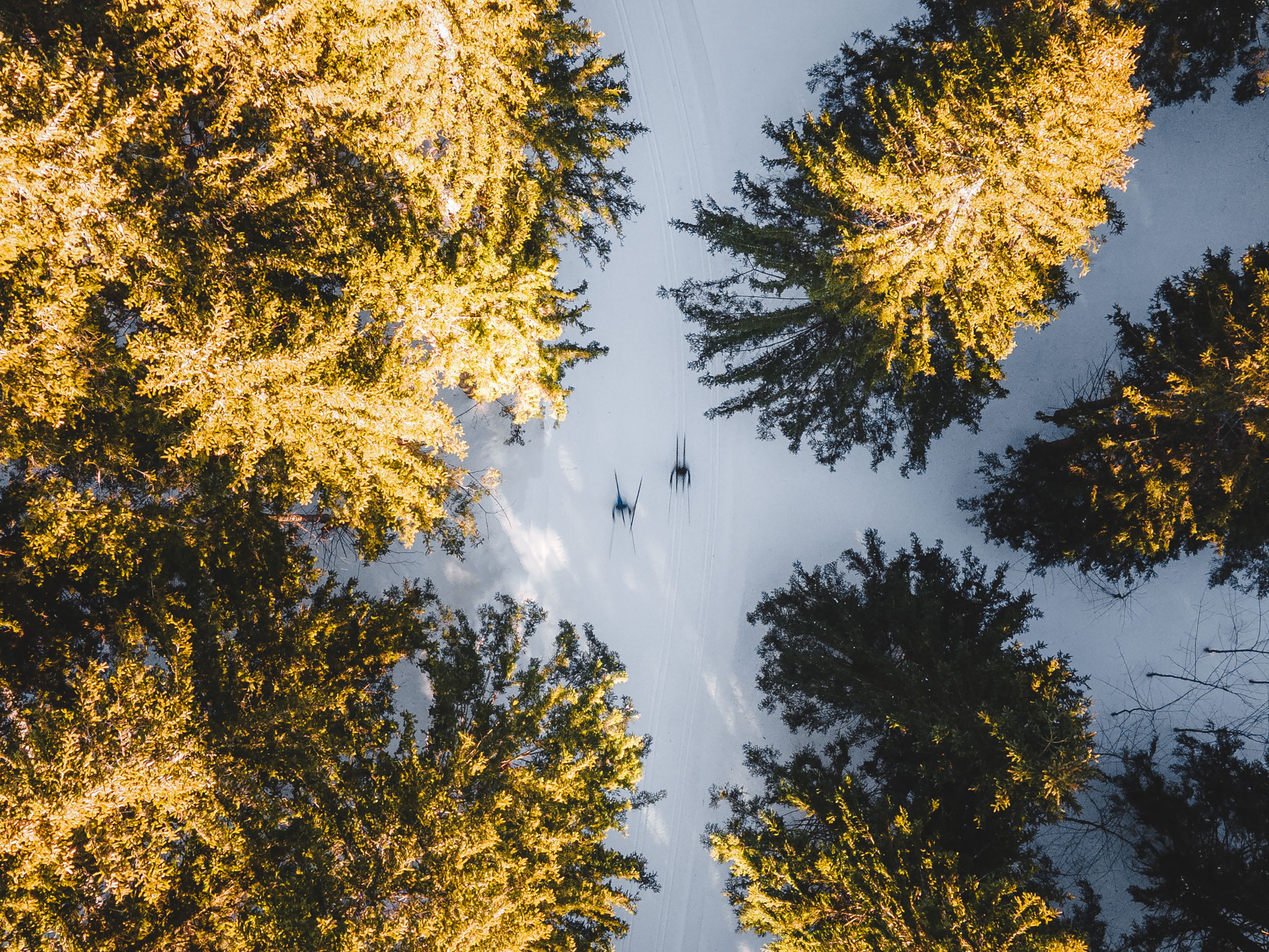 JW_Oetscher_DJI_0857.jpg