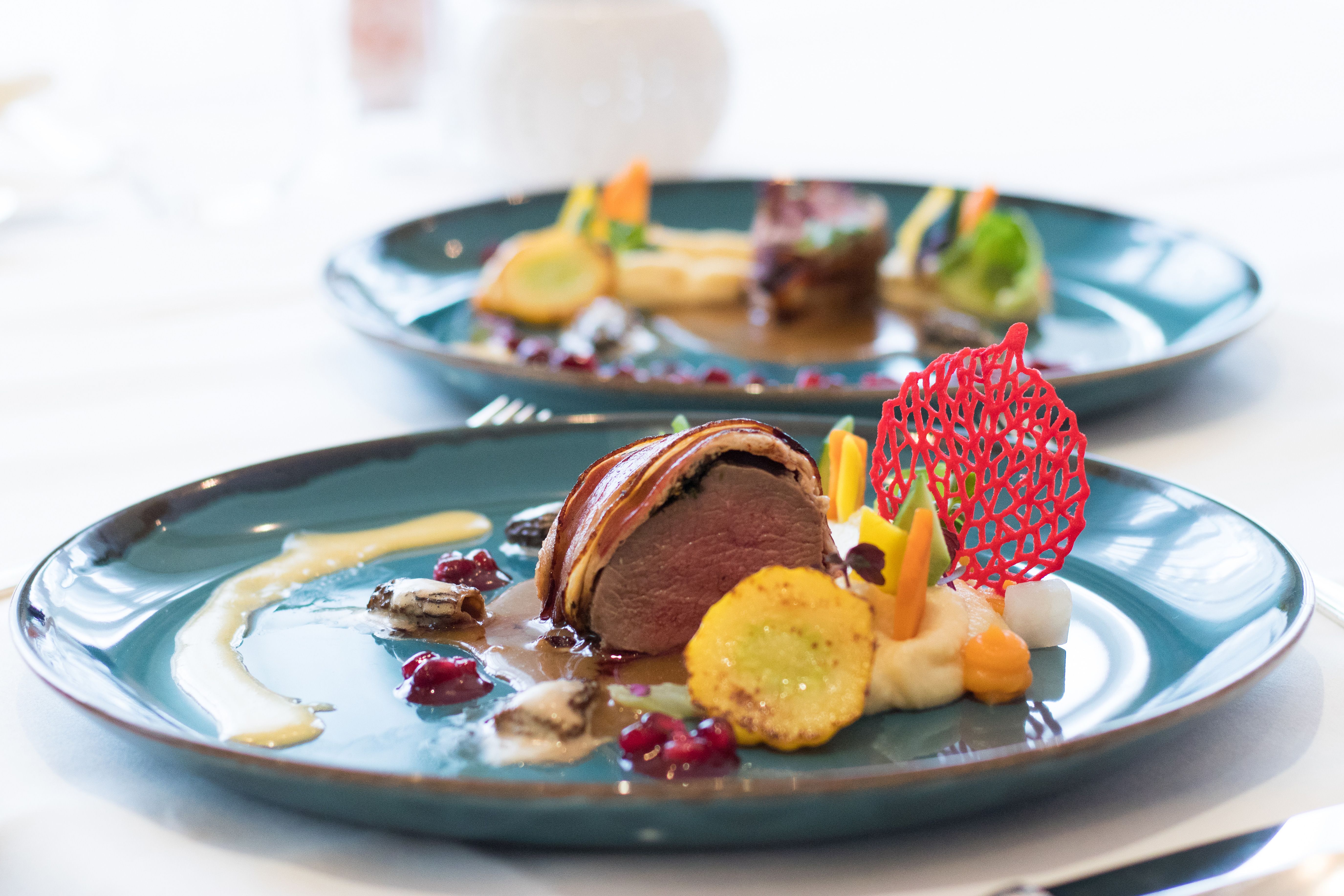 Uměle připravený pokrm ze zvěřinového sedla na modrém talíři, zdobený zeleninou a červenou síťovou přílohou.