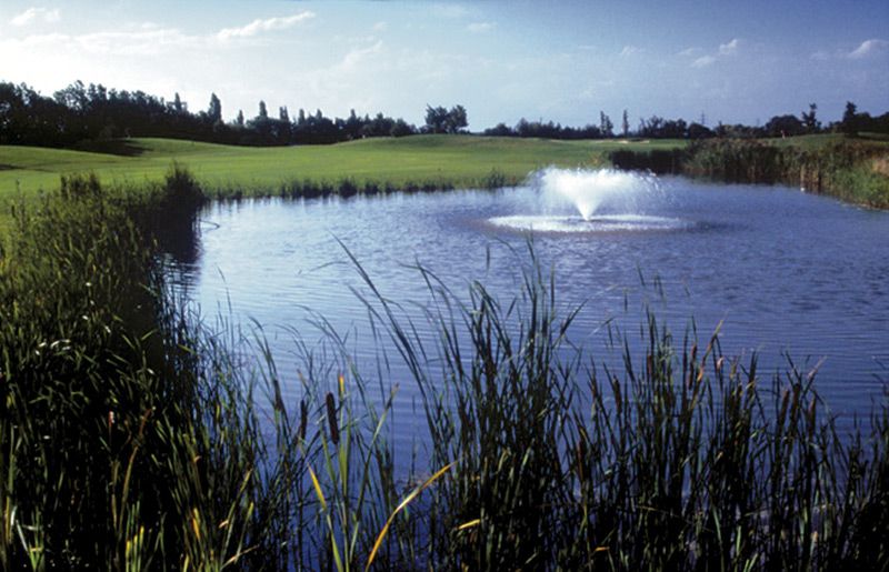 Golfové hřiště s rybníkem a fontánou, obklopené trávou a stromy.