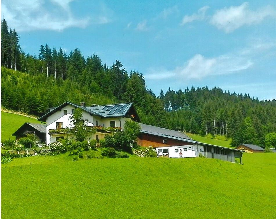 Farma Seppenbauer v létě