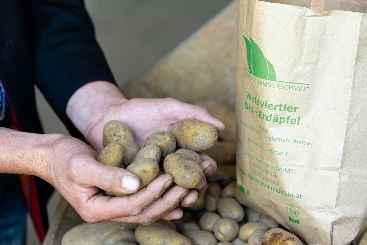Ekologická farma Hammerschmidt
