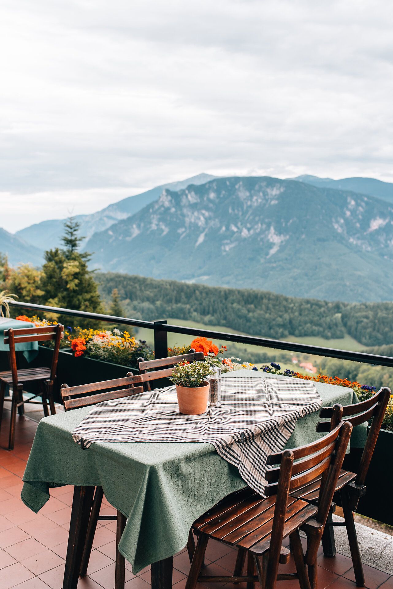 Ilustrační obrázek