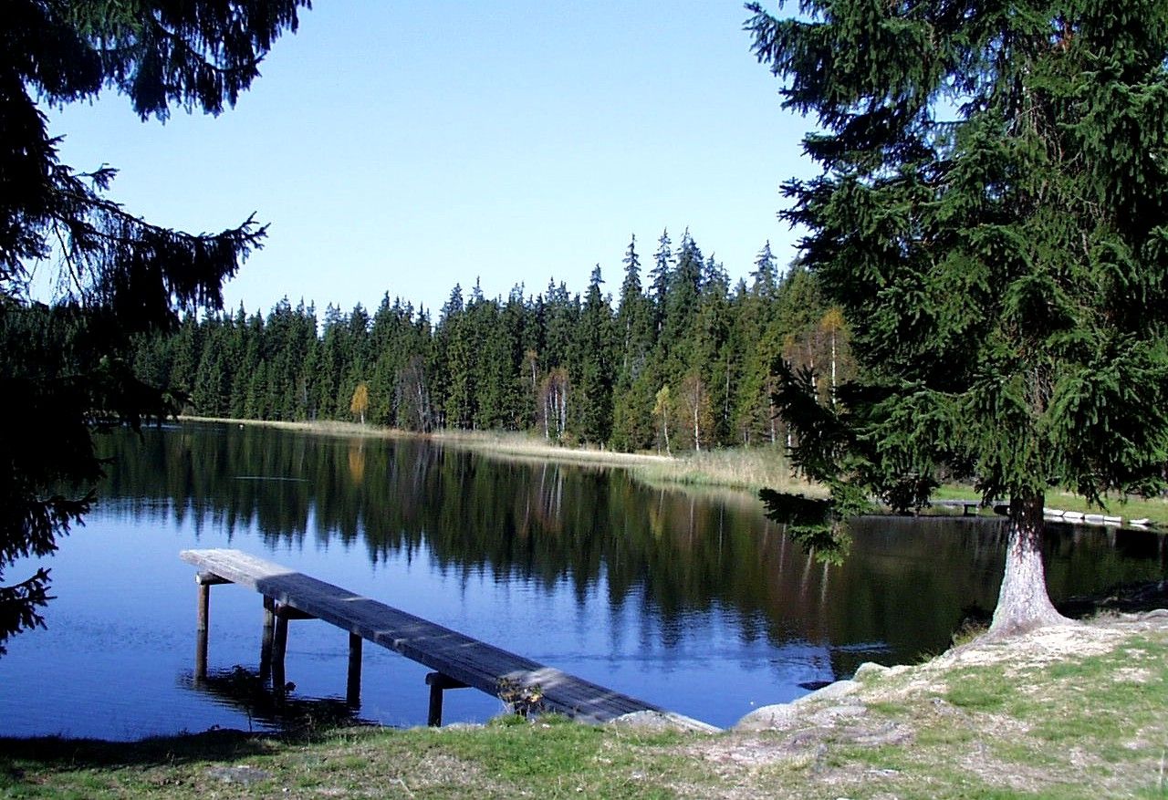 Klidné jezero v přírodním parku Nordwald s dřevěnou lávkou a obklopené hustými jehličnany.