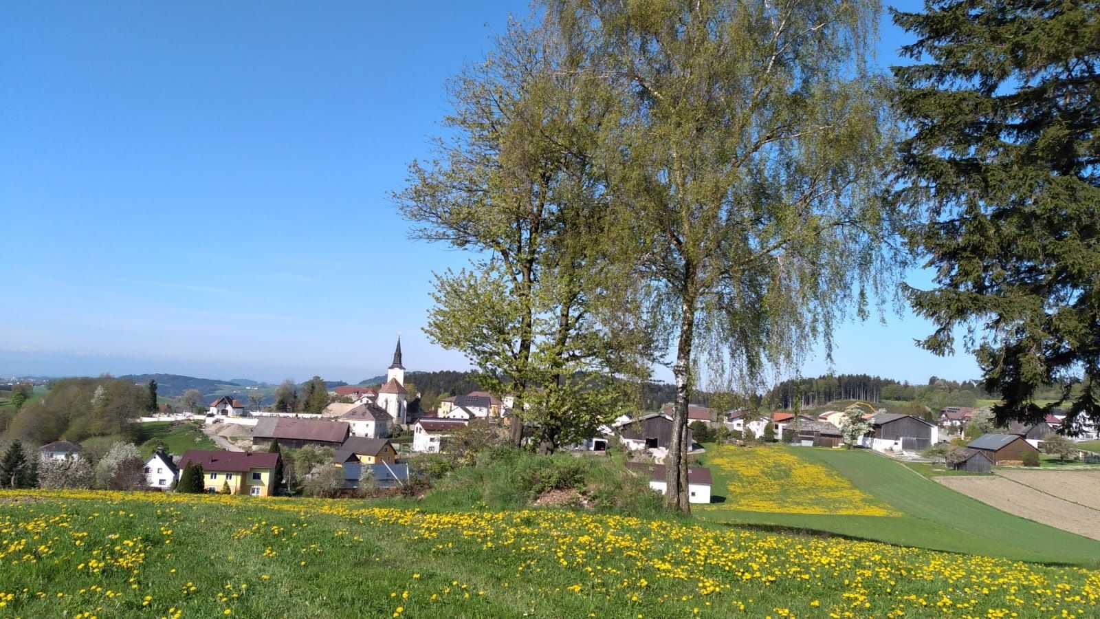 Křížová cesta
