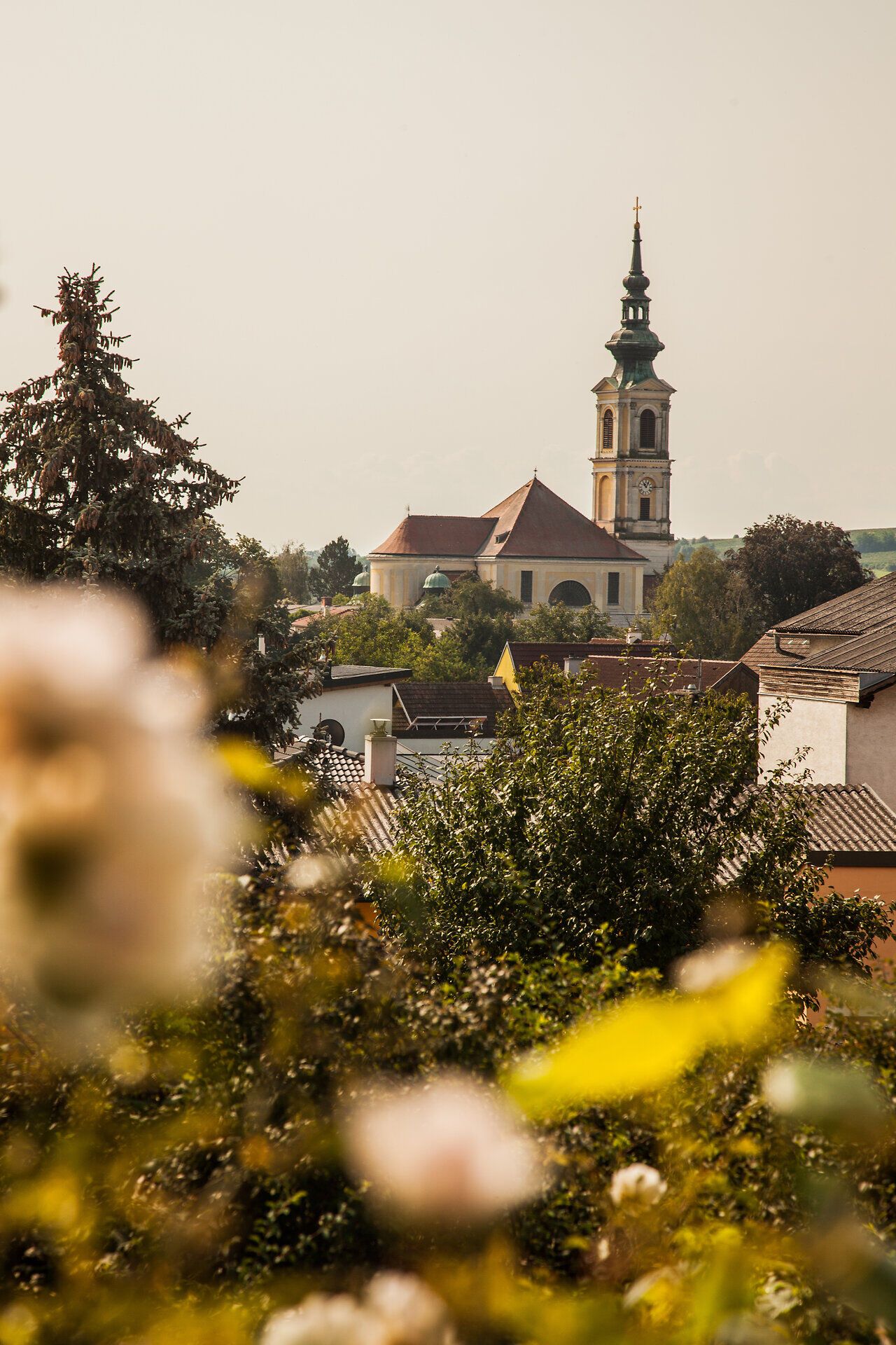 Na mírně zvlněných kopcích kvetou růže v plné kráse a rámují malebný kostel, který hrdě shlíží na vesnici. Zlaté sluneční paprsky zalévají krajinu hřejivým světlem a vybízejí k vychutnání krásy přírody.