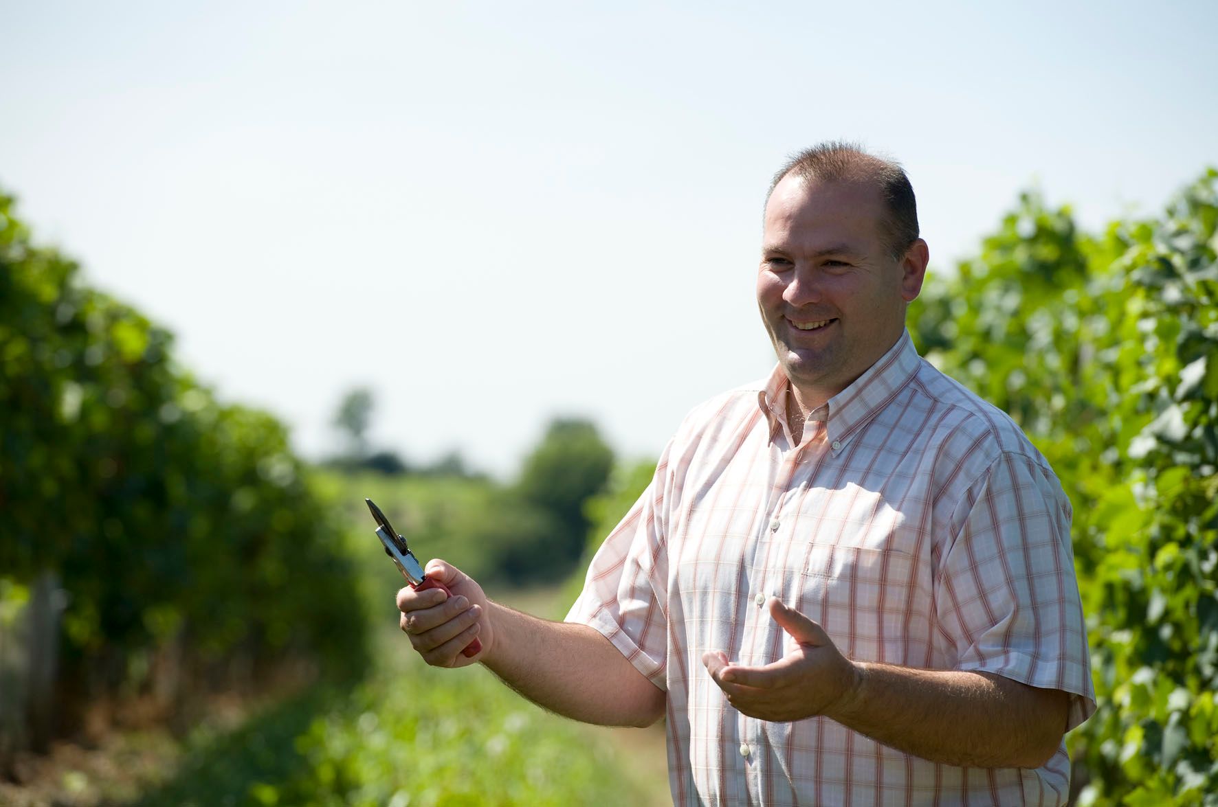 Muž v kostkované košili stojí s úsměvem na vinici a v ruce drží zahradnické nůžky.