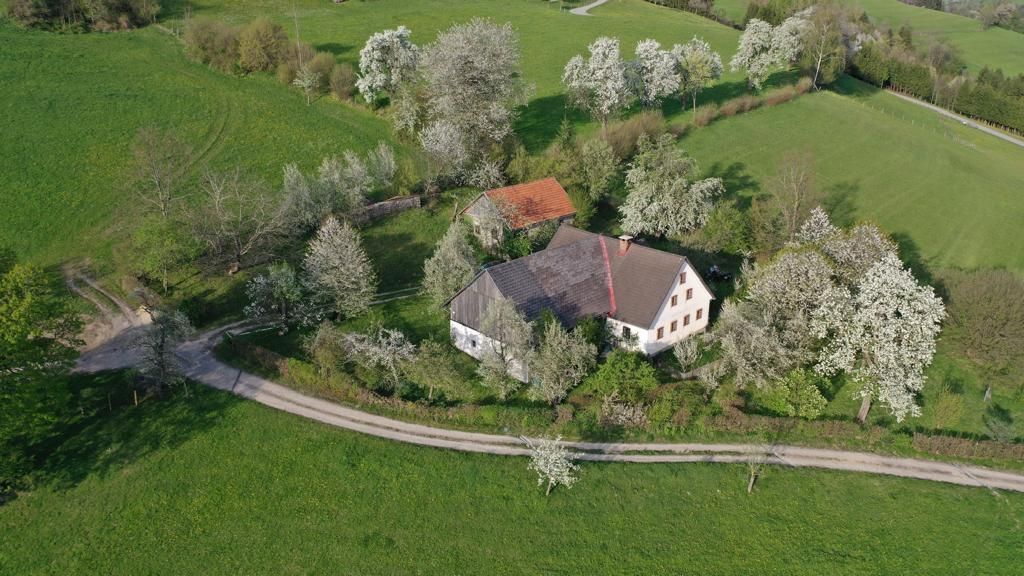 Letecký snímek statku obklopeného kvetoucími stromy a zelenými loukami.