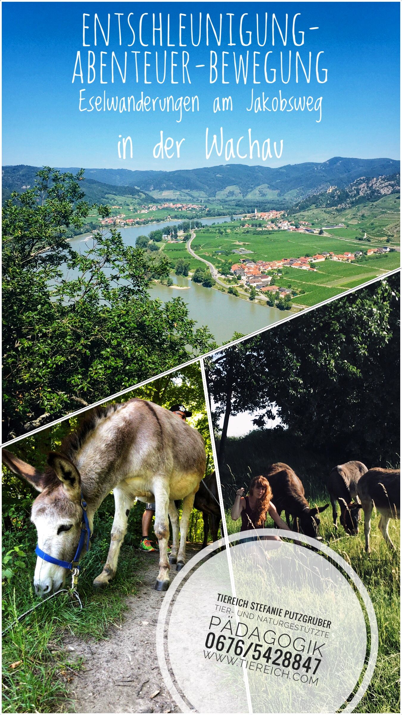 Výlet na oslu Flyer