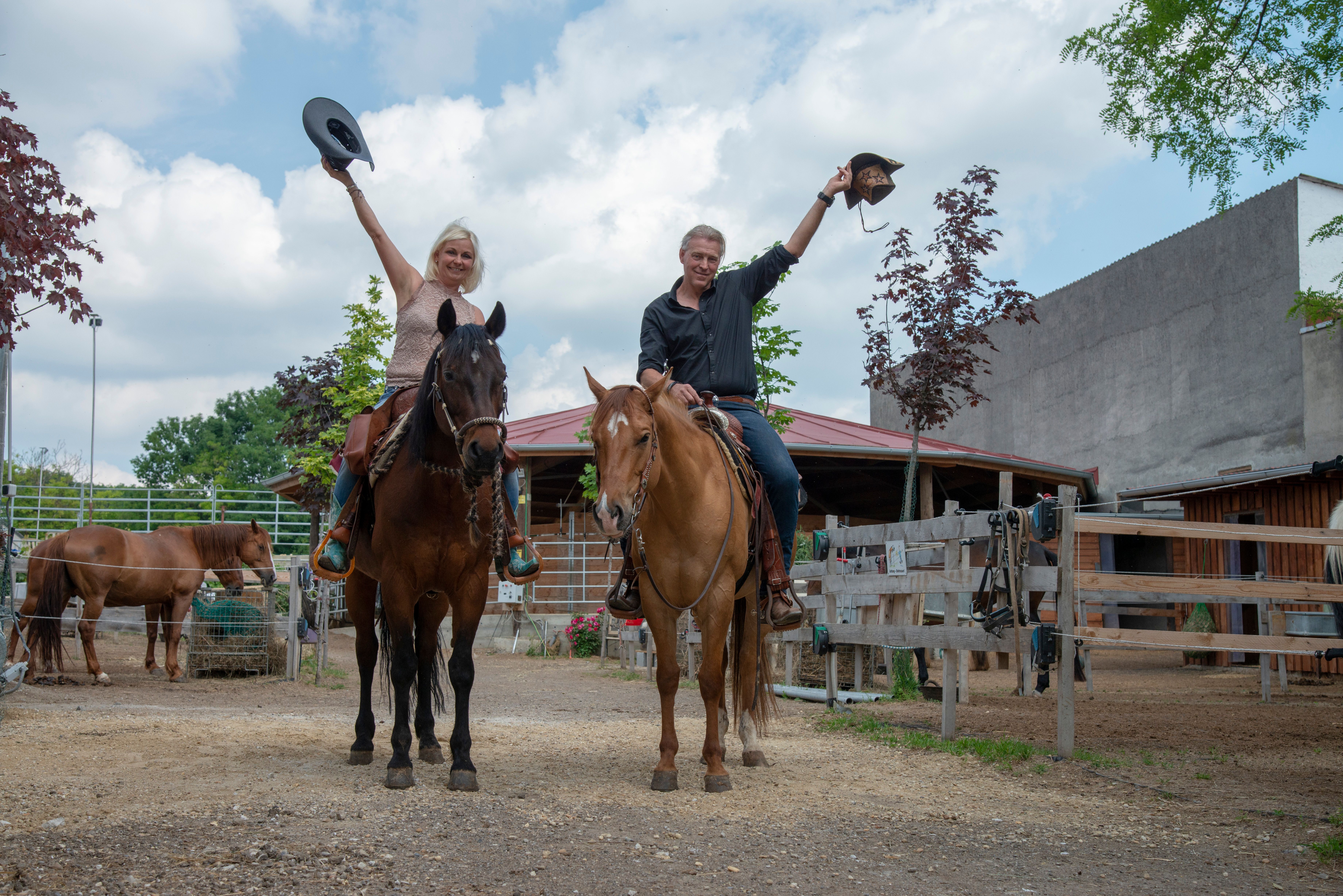 Hippo Campus, jezdec