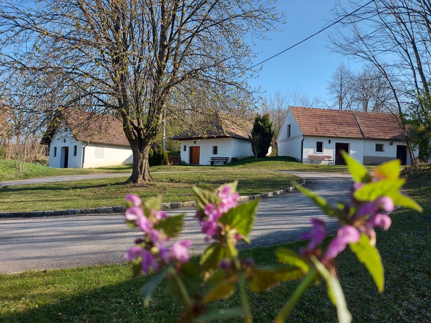 a20220413_084916(c)Vino  Versum Podo (Groß)