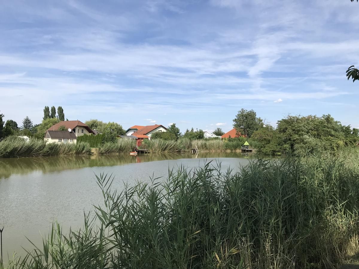 Klidné jezero s rákosím v popředí a domy v pozadí pod modrou oblohou.
