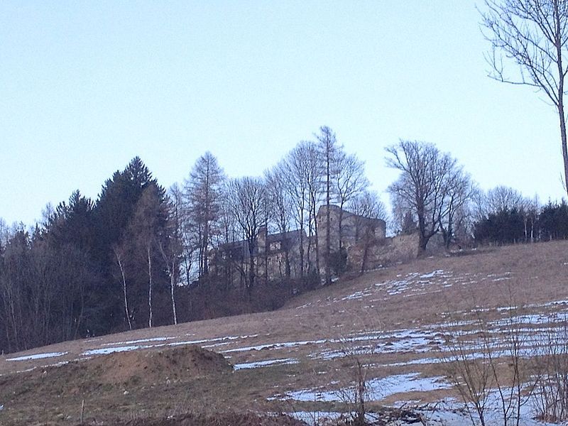 Zřícenina hradu Thomasberg na kopci obklopeném stromy.