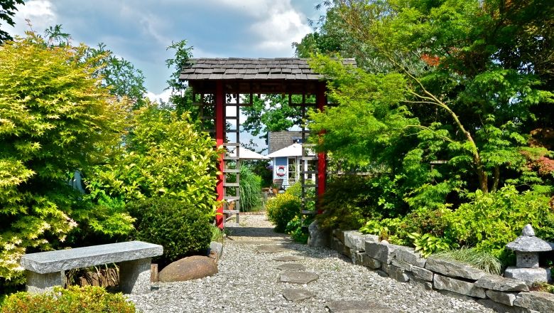 Japonská zahrada s červenou torii, obklopená zelenými rostlinami a štěrkovou cestou.