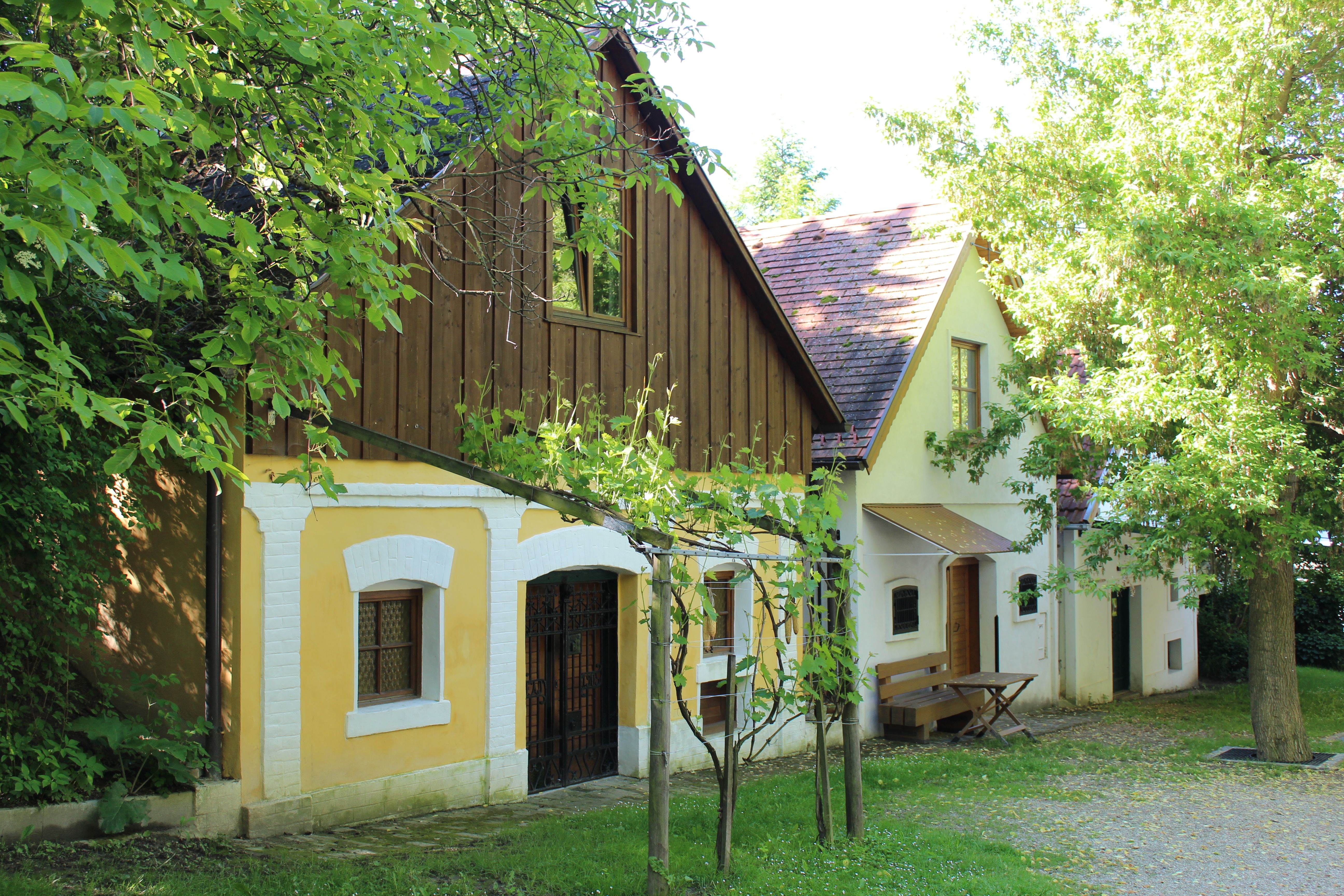 Tradiční vinné sklepy v sklepních uličkách ve Wolkersdorfu, obklopené zelenými stromy a vinnou révou.
