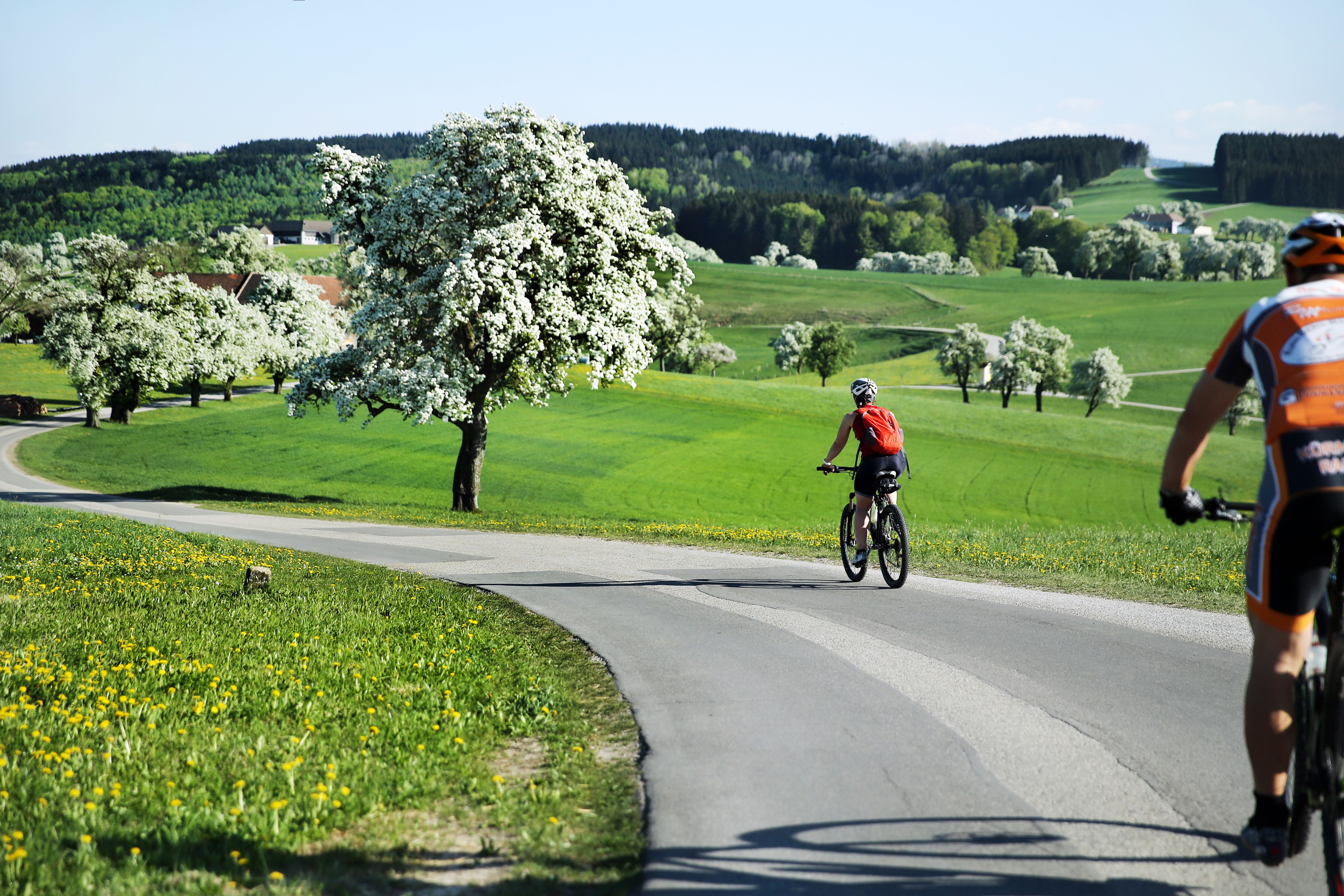 Mostviertel_Moststrasse_Radfahren__(c)weinfranz