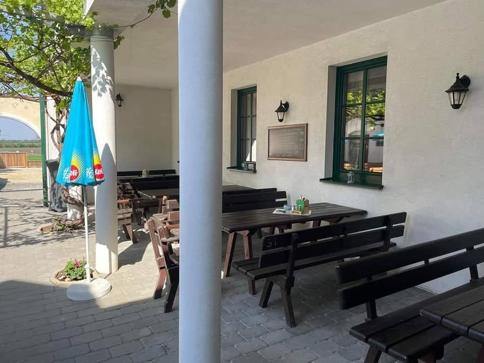 Prázdná zahrada pro hosty s dřevěnými lavicemi a stoly, slunečníkem a bílou stěnou s okny.